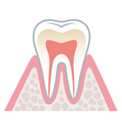 健康な歯ぐきのイラスト