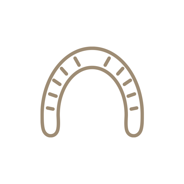 入れ歯・ブリッジ